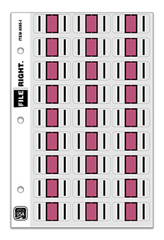 File right™ brand - alphabet labels